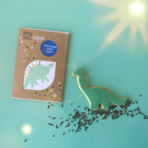 Dinosaur Biscuit & Craft Kit